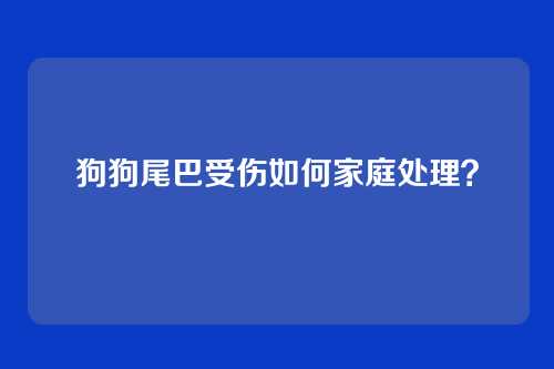 狗狗尾巴受伤如何家庭处理？