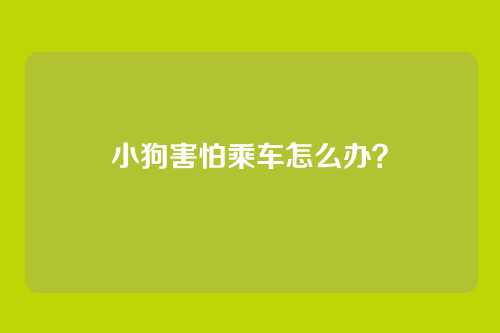 小狗害怕乘车怎么办？