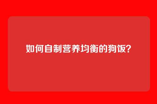 如何自制营养均衡的狗饭？