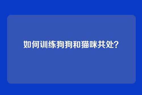 如何训练狗狗和猫咪共处?