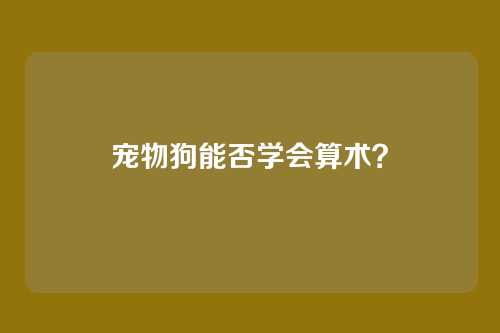 宠物狗能否学会算术？