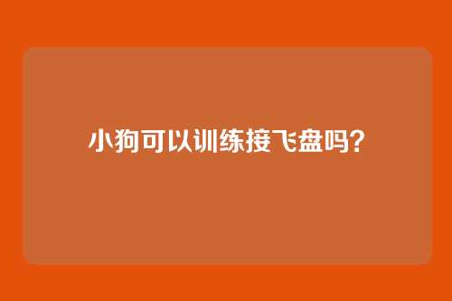 小狗可以训练接飞盘吗？