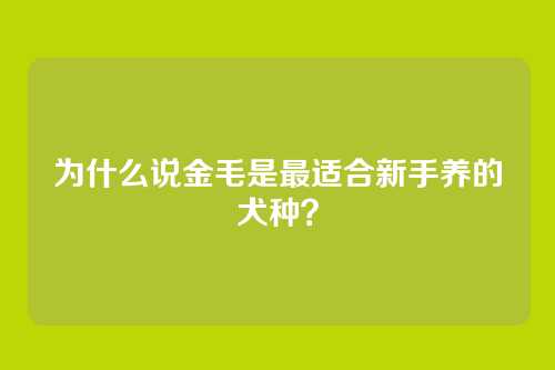 为什么说金毛是最适合新手养的犬种?