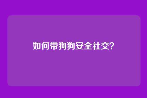 如何带狗狗安全社交？