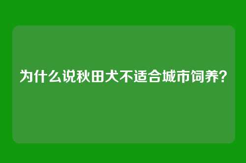 为什么说秋田犬不适合城市饲养？