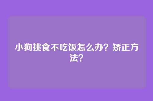 小狗挑食不吃饭怎么办？矫正方法？