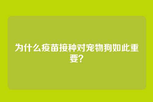 为什么疫苗接种对宠物狗如此重要？
