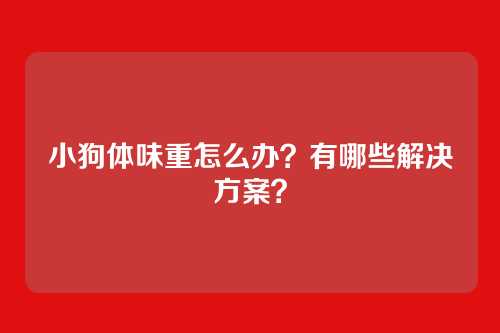 小狗体味重怎么办?有哪些解决方案?