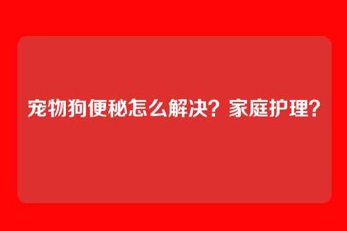 宠物狗便秘怎么解决？家庭护理？