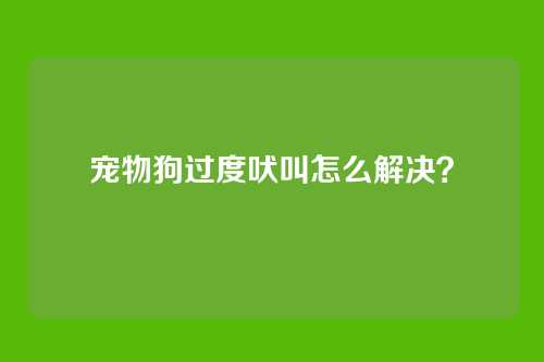 宠物狗过度吠叫怎么解决？