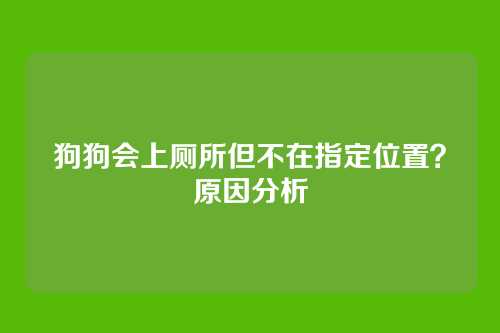狗狗会上厕所但不在指定位置？原因分析