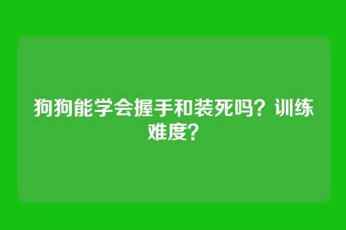 狗狗能学会握手和装死吗?训练难度?
