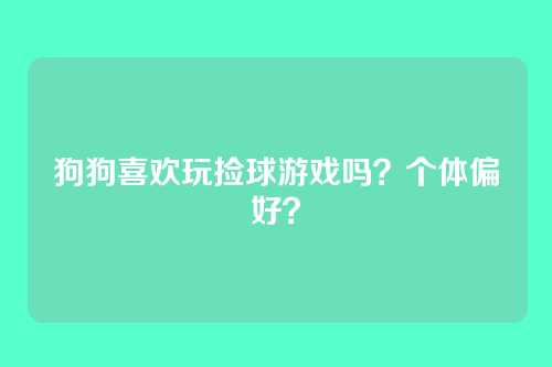 狗狗喜欢玩捡球游戏吗？个体偏好？