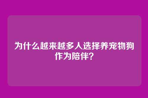 为什么越来越多人选择养宠物狗作为陪伴？