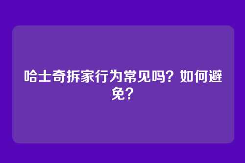 哈士奇拆家行为常见吗？如何避免？