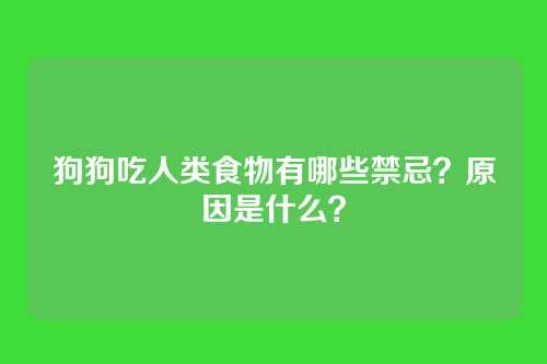 狗狗吃人类食物有哪些禁忌？原因是什么？