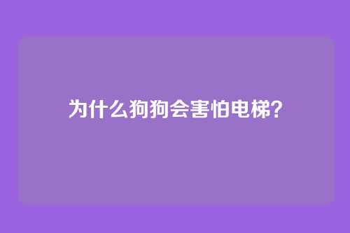 为什么狗狗会害怕电梯？