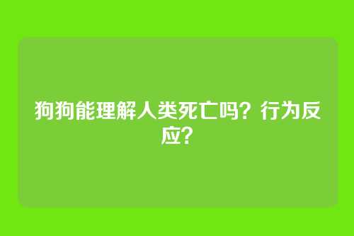 狗狗能理解人类死亡吗？行为反应？