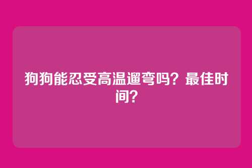 狗狗能忍受高温遛弯吗？最佳时间？