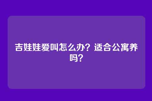 吉娃娃爱叫怎么办？适合公寓养吗？