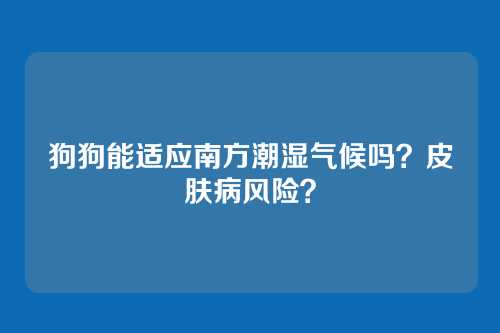 狗狗能适应南方潮湿气候吗?皮肤病风险?