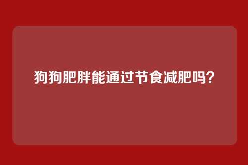 狗狗肥胖能通过节食减肥吗？