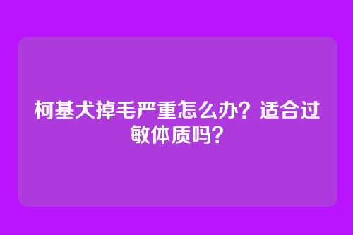柯基犬掉毛严重怎么办？适合过敏体质吗？