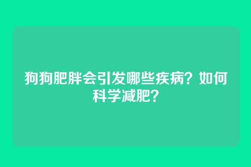 狗狗肥胖会引发哪些疾病?如何科学减肥?