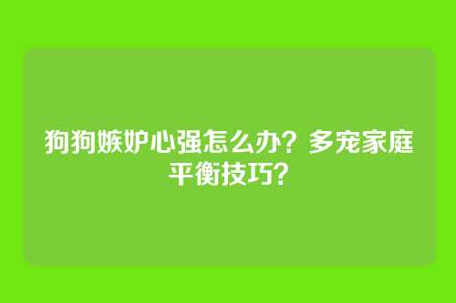 狗狗嫉妒心强怎么办？多宠家庭平衡技巧？