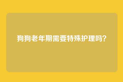狗狗老年期需要特殊护理吗?
