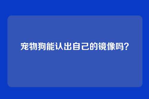 宠物狗能认出自己的镜像吗？
