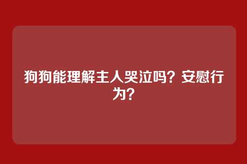 狗狗能理解主人哭泣吗?安慰行为?