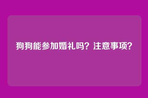 狗狗能参加婚礼吗？注意事项？