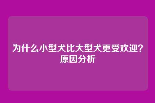 为什么小型犬比大型犬更受欢迎？原因分析