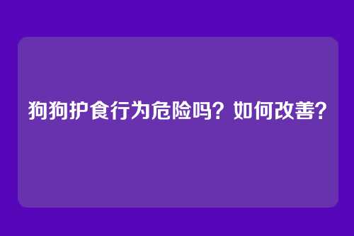狗狗护食行为危险吗?如何改善?