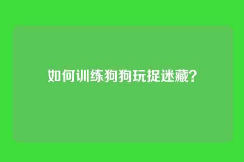 如何训练狗狗玩捉迷藏？