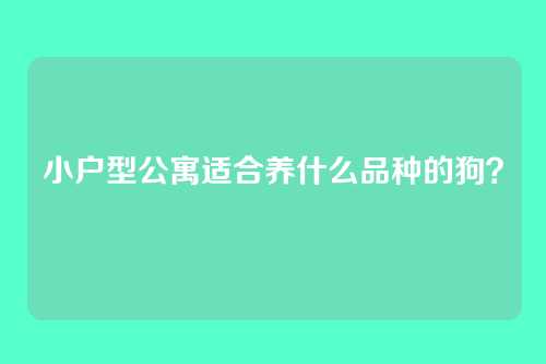 小户型公寓适合养什么品种的狗？