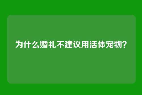 为什么婚礼不建议用活体宠物？