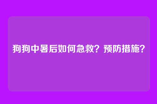 狗狗中暑后如何急救?预防措施?