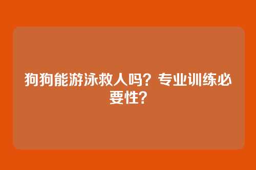 狗狗能游泳救人吗?专业训练必要性?