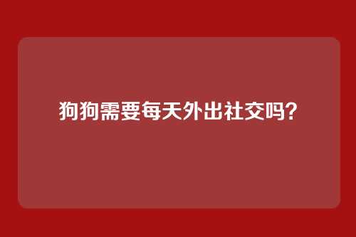 狗狗需要每天外出社交吗?