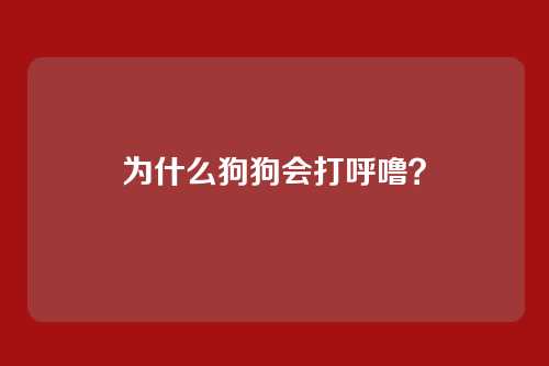 为什么狗狗会打呼噜？