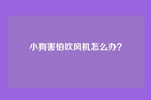 小狗害怕吹风机怎么办？