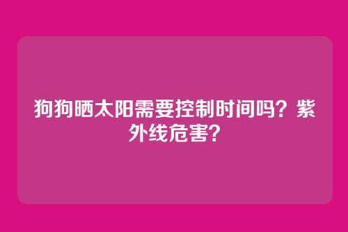 狗狗晒太阳需要控制时间吗？紫外线危害？