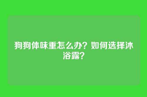 狗狗体味重怎么办？如何选择沐浴露？