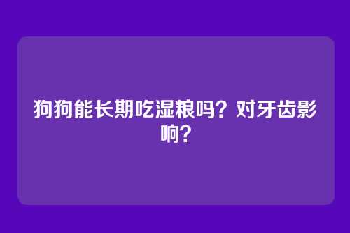 狗狗能长期吃湿粮吗？对牙齿影响？