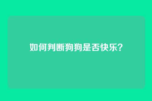 如何判断狗狗是否快乐？