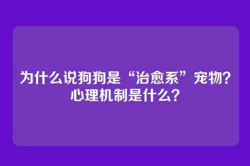 为什么说狗狗是“治愈系”宠物？心理机制是什么？
