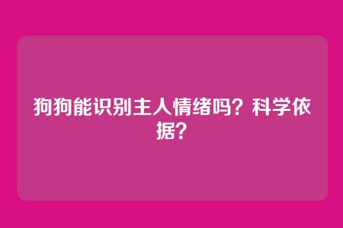 狗狗能识别主人情绪吗？科学依据？