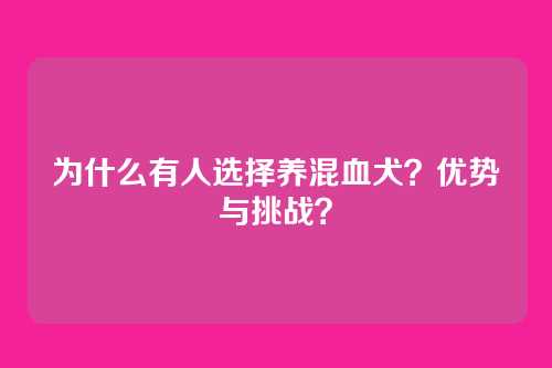 为什么有人选择养混血犬？优势与挑战？